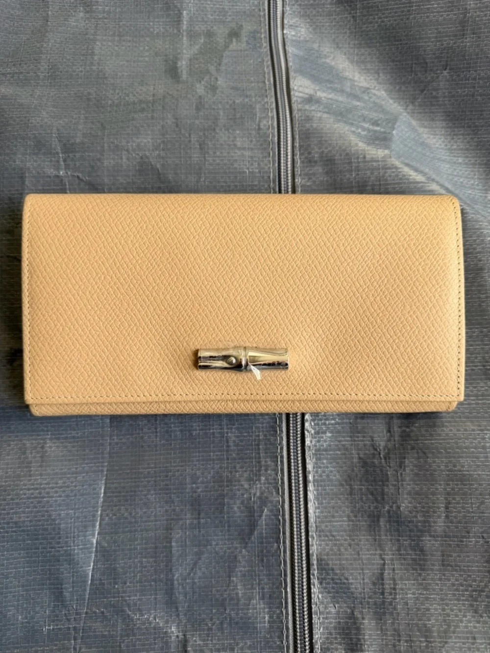 Longchamp le roseau